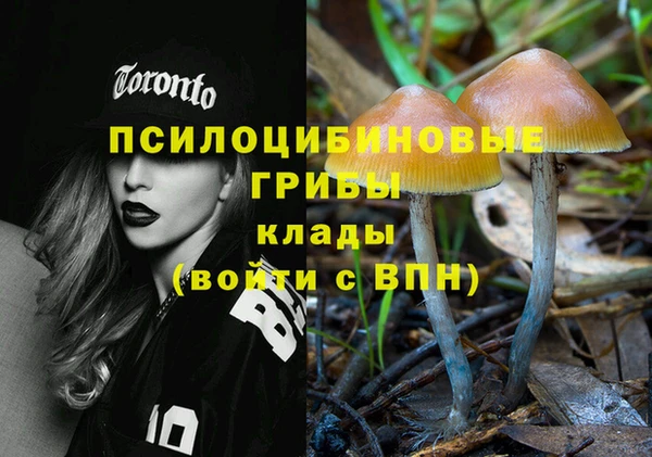 дмт Богданович