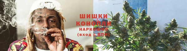 прущая мука Бородино