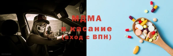 дмт Богданович