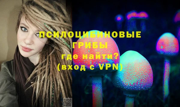 эйфоретик Бронницы