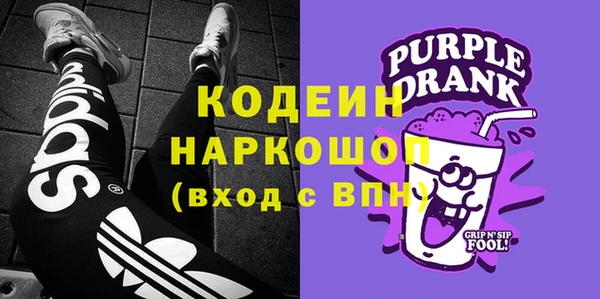 дмт Богданович