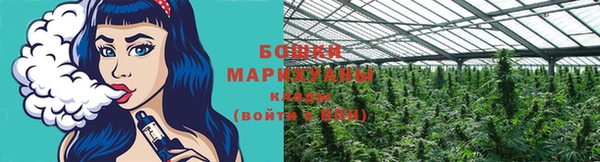 эйфоретик Бронницы