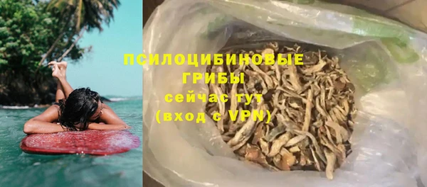 дмт Богданович
