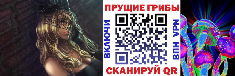Галлюциногенные грибы Psilocybe Саранск